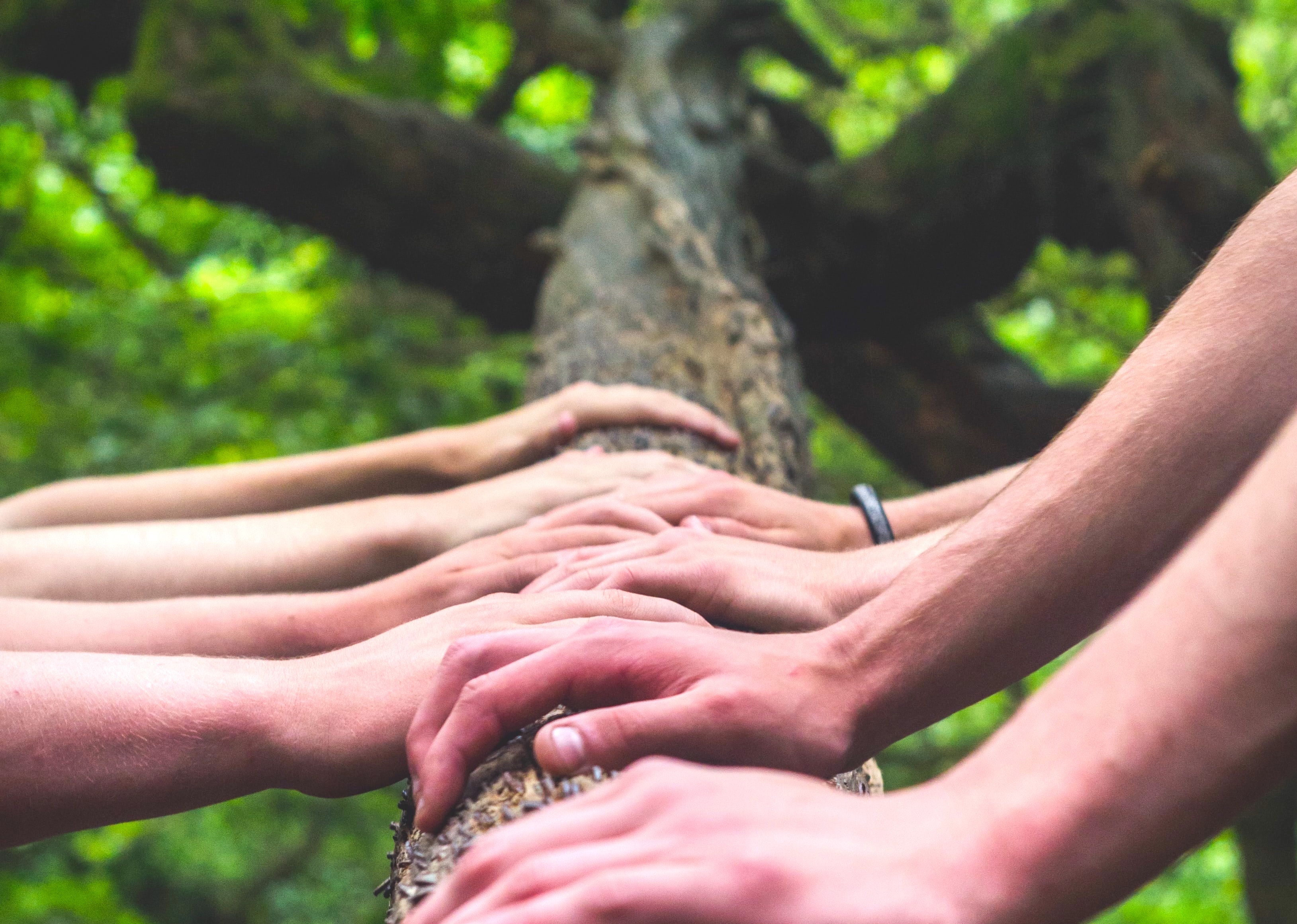 OÏZZO - biodi'acteurs