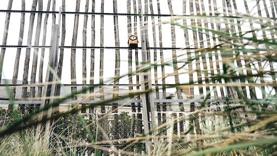 OÏZZO - parcours ludiques